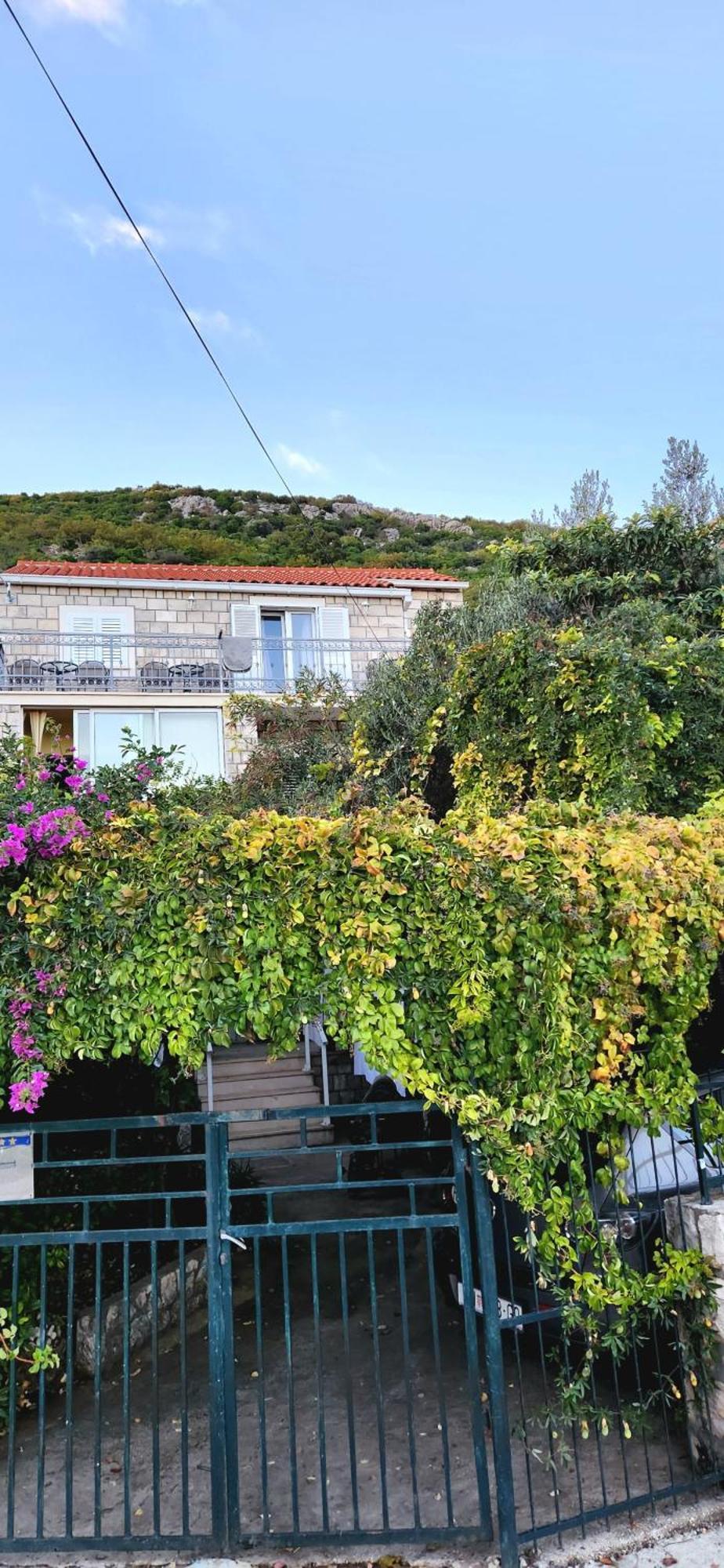 Tranquility And Nature In 4 Bedroom With Sea View Mokošica Eksteriør bilde